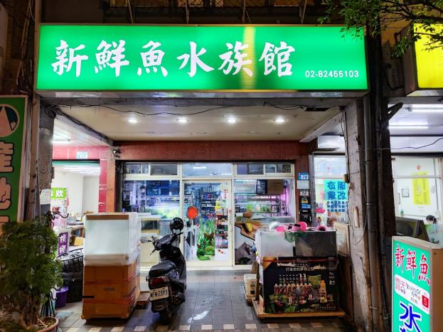 五星評價水族館.低價頂讓.保證賺到.另可裸租現址.內容可議