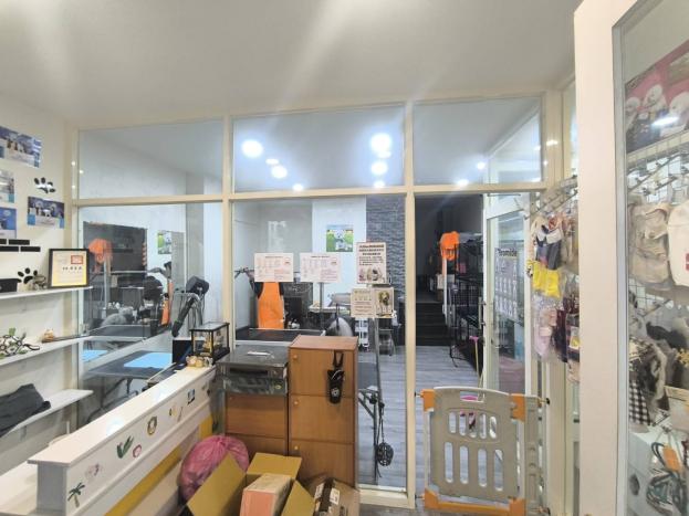 新興寵物美容事業歡迎加入